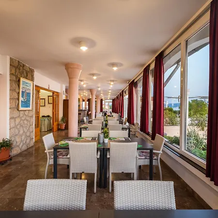 Vicko 스타리그라드 파클레니차