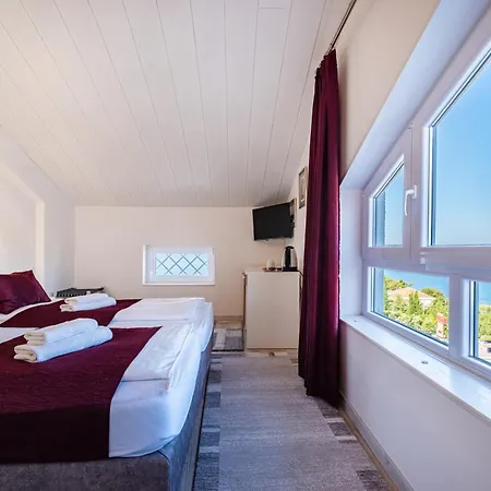 Vicko 스타리그라드 파클레니차